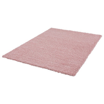 Modern vloerkleed Reunion Licht Roze 1300