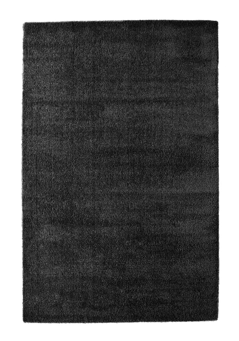 oppervlakte Rodeo Heel veel goeds Zwart hoogpolig vloerkleed | Zwarte hoogpolige karpet - Vloerkleed en karpet